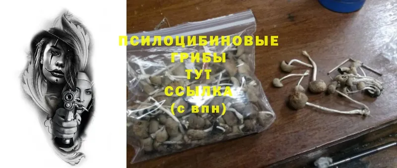 купить наркотик  Горняк  МЕГА ССЫЛКА  Псилоцибиновые грибы Magic Shrooms 